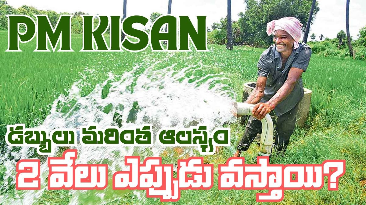 PM Kisan 20th Installment Delay Reason
