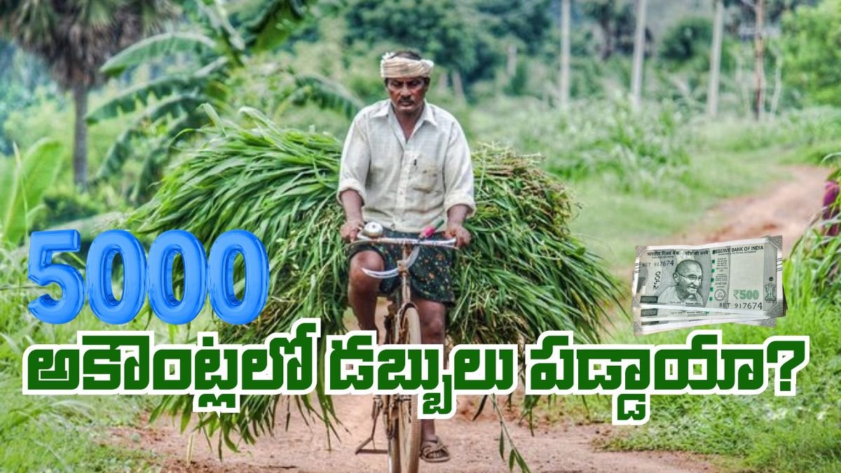 Annadatha Payment 5000 Fund Check Link