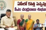 AP New Pensions CM Chandrababu Key Statement