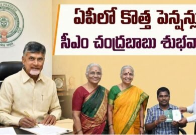 AP New Pensions: ఏపీలో కొత్త పెన్షన్లు మంజూరు: సీఎం చంద్రబాబు కీలక నిర్ణయం..ఇలా దరఖాస్తు చేసుకోండి